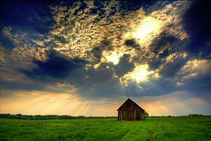HollandsHoop-Temp-300