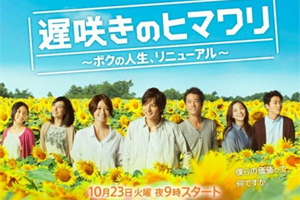 Osozaki no Himawari