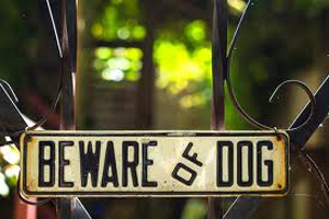 Beware of Dog