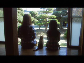 lecca-Dear-3p