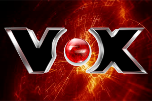 VOX-DE-300