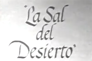 La Sal del Desierto