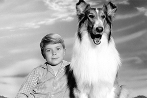 Lassie
